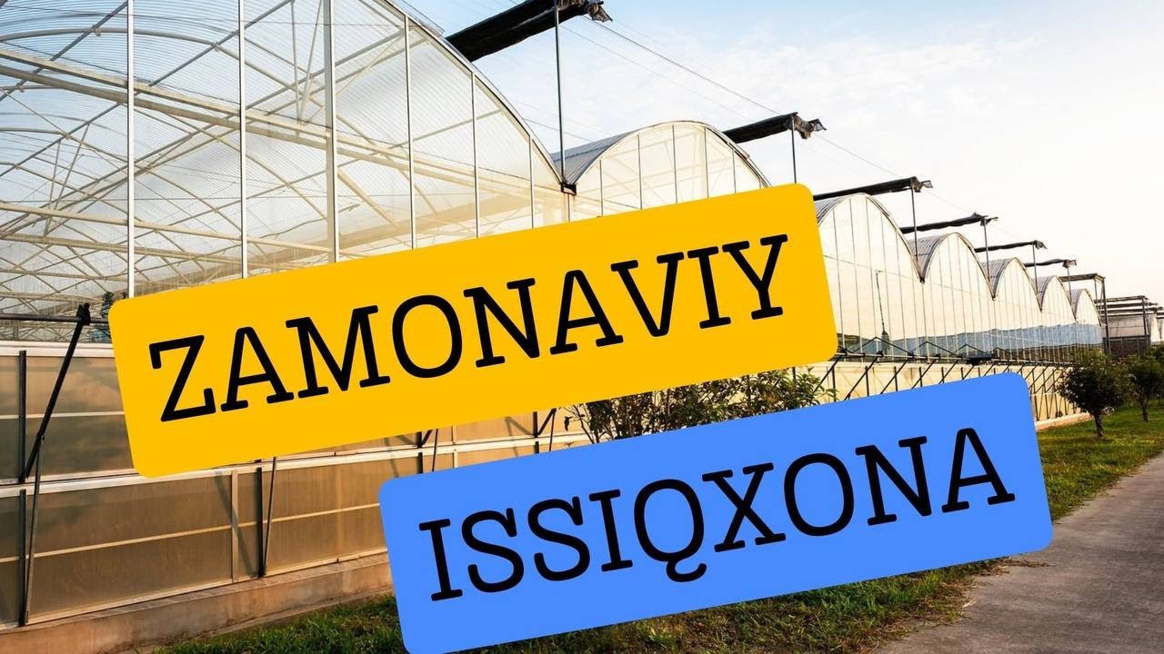 Zamonaviy issiqxona qanday bo`lishi kerak?