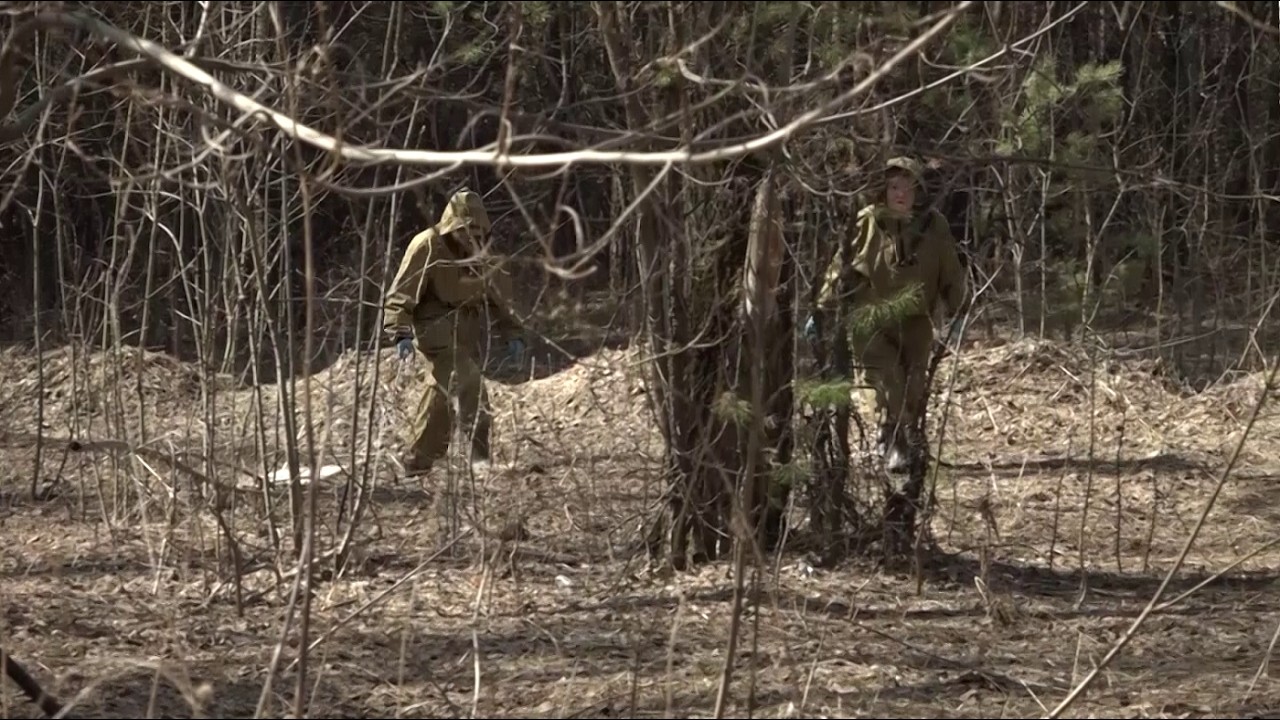 В Новосибирской области ожидается ранняя активность клещей // 06.03.26