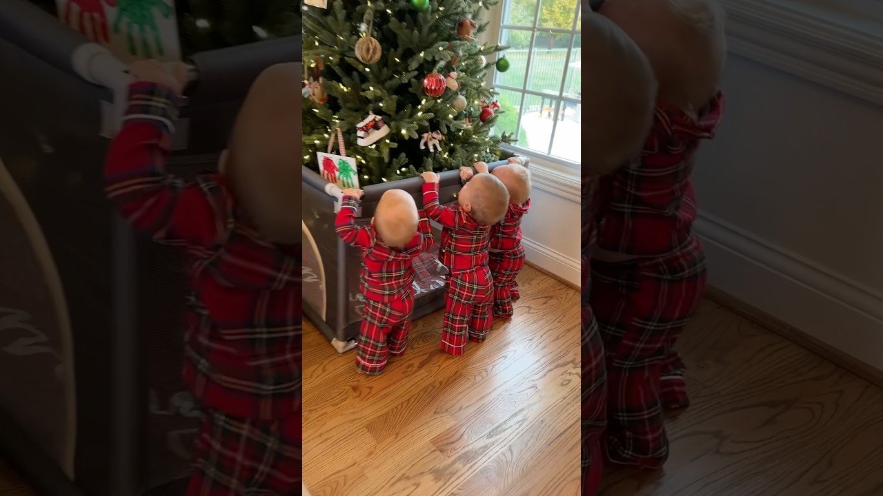 How to protect Christmas Tree from Triplets! 🎄 #lifehack #christmas #triplets #mom #cute #twins
