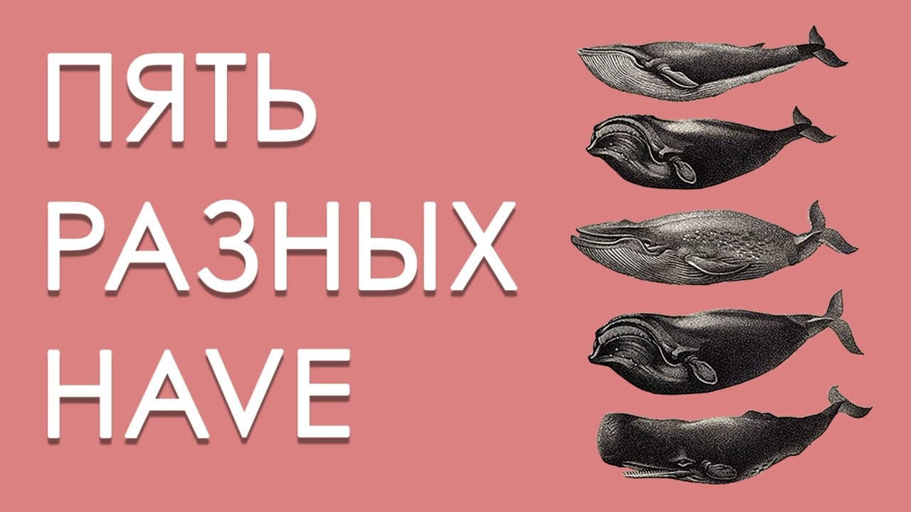 HAVE в английском | Отличия to have / have to / have V3 / have + noun / have someone do something