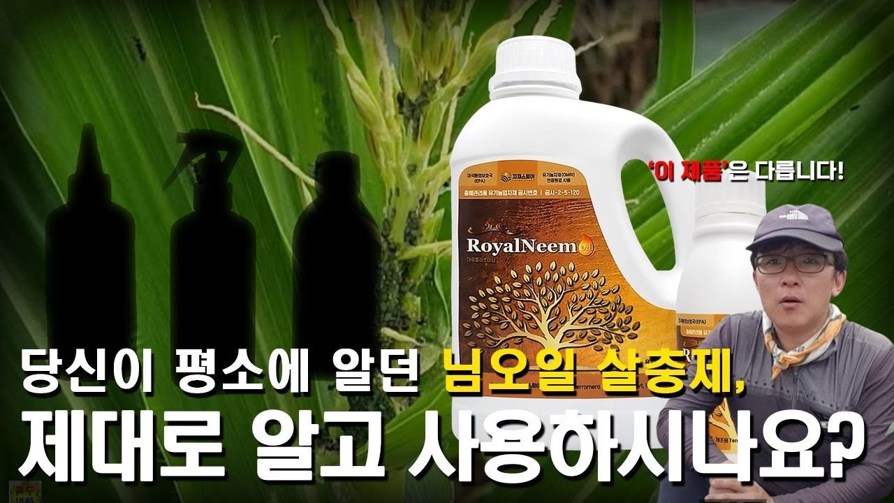 배추.무우.고추밭에 꾸준히 뿌려주면 진딧물.응애.청벌레 농약 없이도 농사가 쉬워집니다 천연살충제 유기농살충제 텃밭벌레퇴치