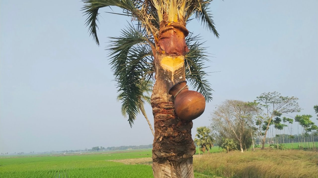 অপরূপ সৌন্দর্যে গড়া এই গ্রামটি বাংলাদেশের শেষ গ্রাম? এর পরেই ইন্ডিয়া শুরু!
