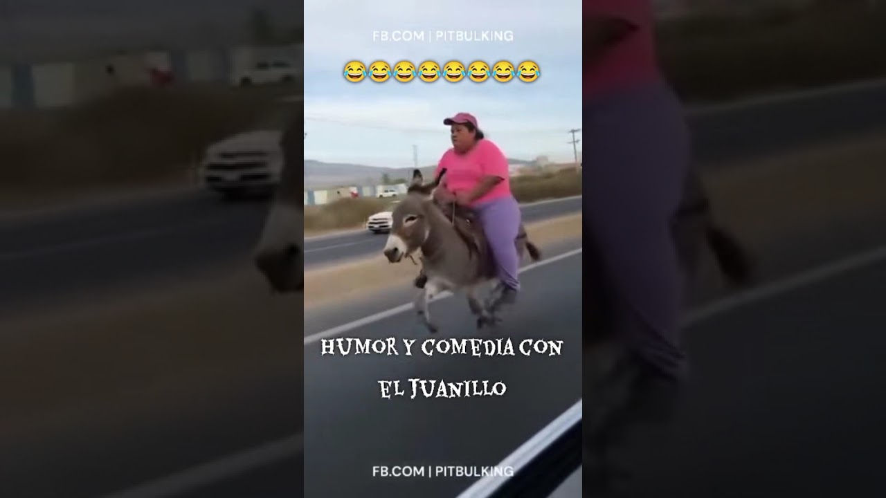 COTORREA #apoyame #humor #comedia #ELJUANILLO #supcribete