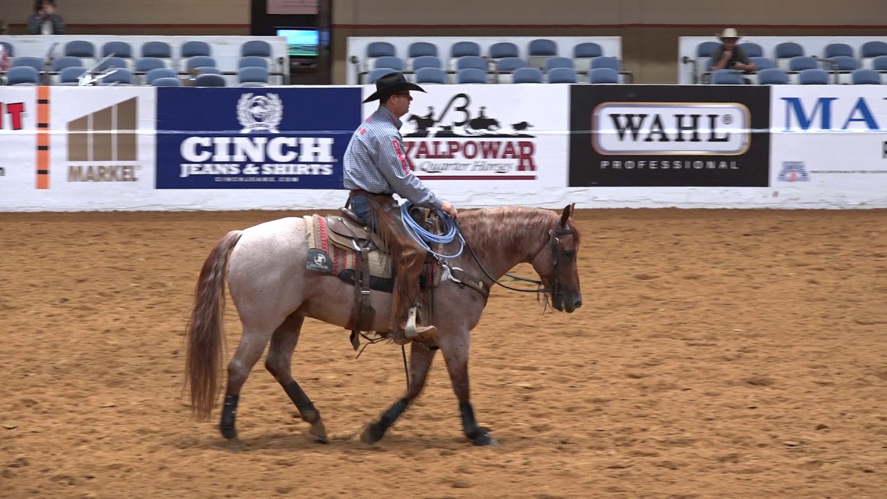 Quahadi - 2018 Snaffle Bit Futurity Ranching Heritage