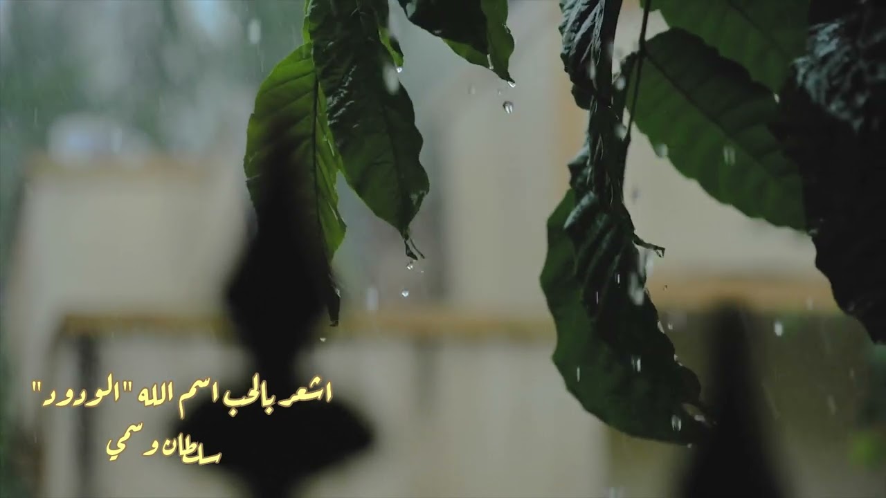 اشعر بالحب اسم الله 