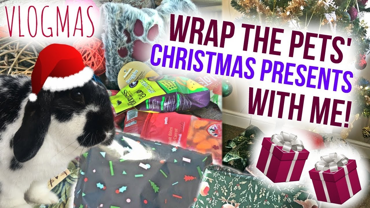 Wrap The Pets' Christmas Presents With Me | VLOGMAS WEEK 3 | RosieBunneh