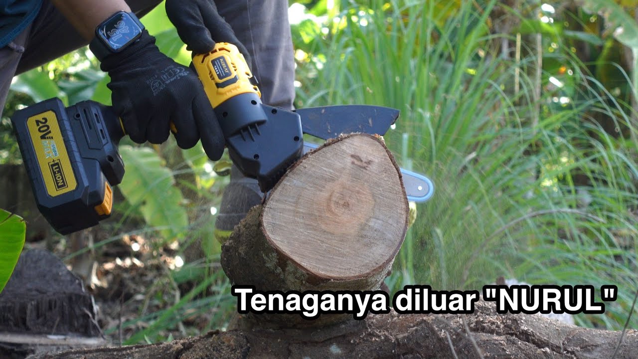 cordless chainsaw 6