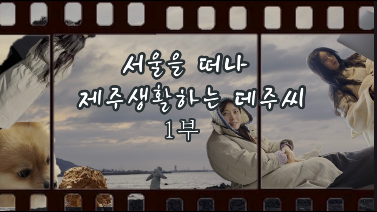 다큐엉터리 | 레전드 풍경 제주도로 떠난 데주씨의 우당탕탕 창업 이야기 #제주 #제주살이 #브이로그 #힐링브이로그 #힐링영상 #썰 #제주맛집추천 #제주카페 