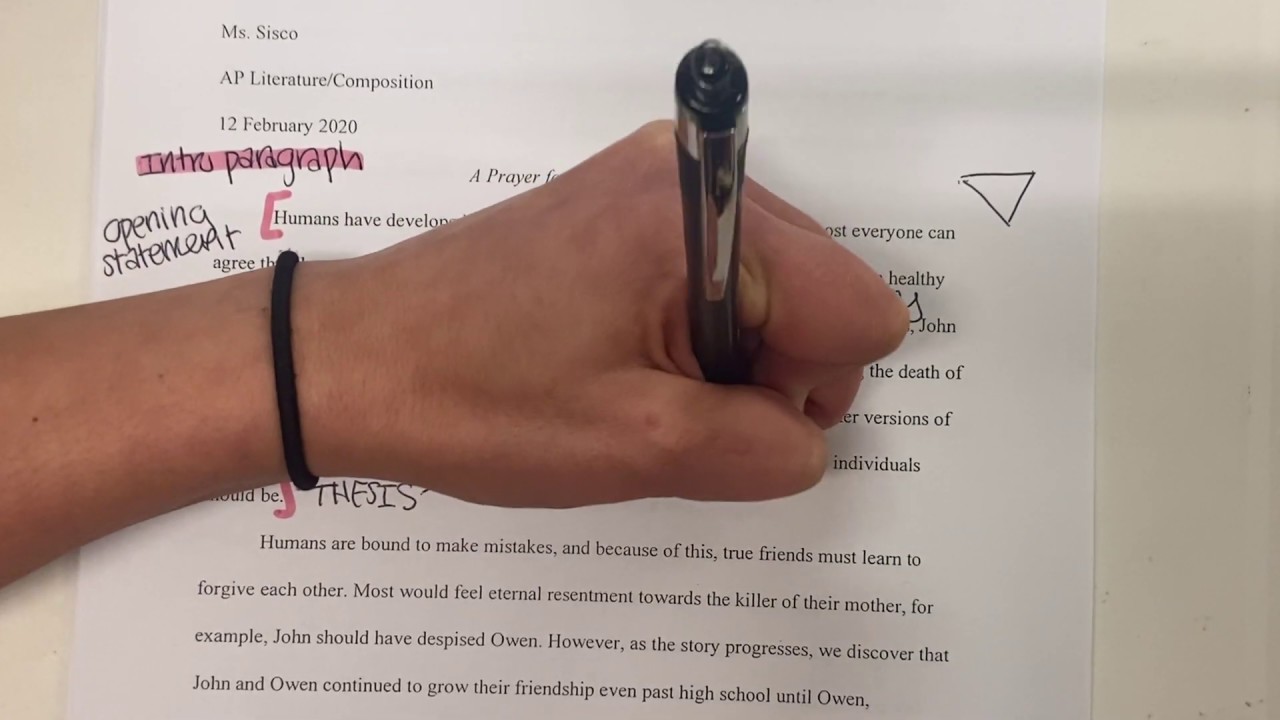 Sample Essay Annotations