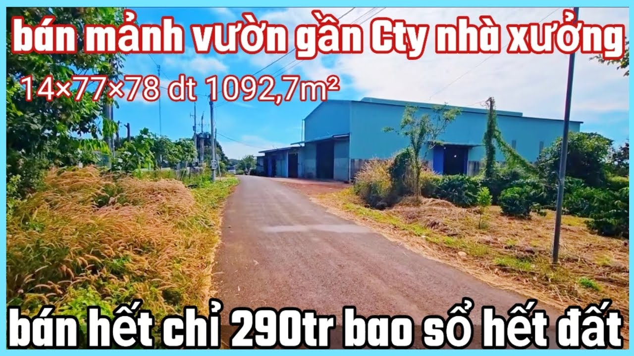 Bán mảnh vườn gần Cty nhà xưởng dân cư đông đúc 14×77×78 dt 1092,7m² giá 290tr bao sổ 