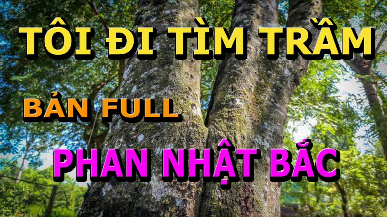Tôi Đi Tìm Trầm- Phan Nhật Bắc