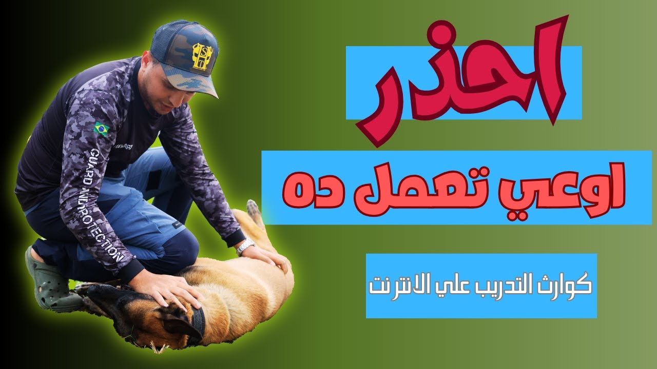 كوارث تدريب الكلاب علي الانترنت ( احذر ) 📢