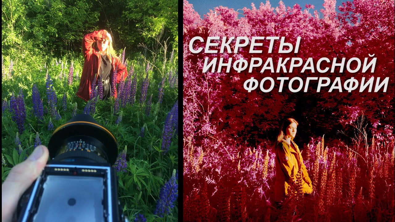 Инфракрасная фотография на пленку (Секреты съемки на Kodak EIR, Aerochrome и не только) [Infrared]