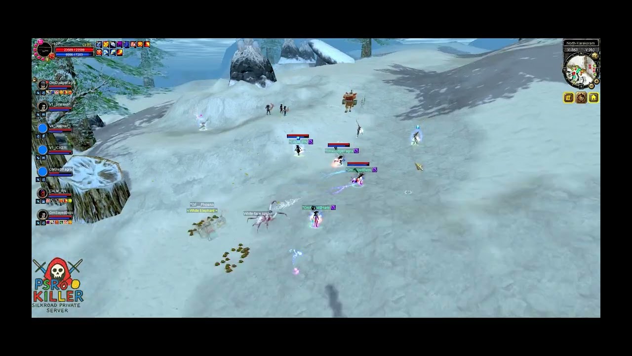 PSro-Killer ~ Job Fight Party Random VS GF + BM 5#