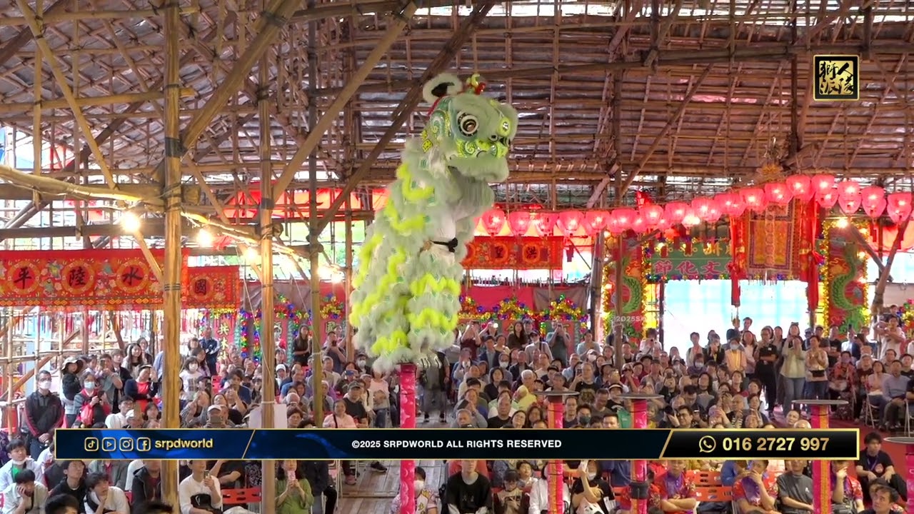 國際高樁 // 中國香港姜氏金龍醒獅團A隊