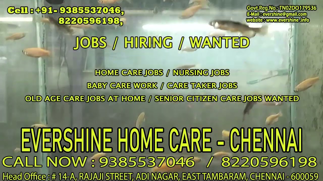 home care vacancy in chennai | general duty assistant job vacancy in chennai