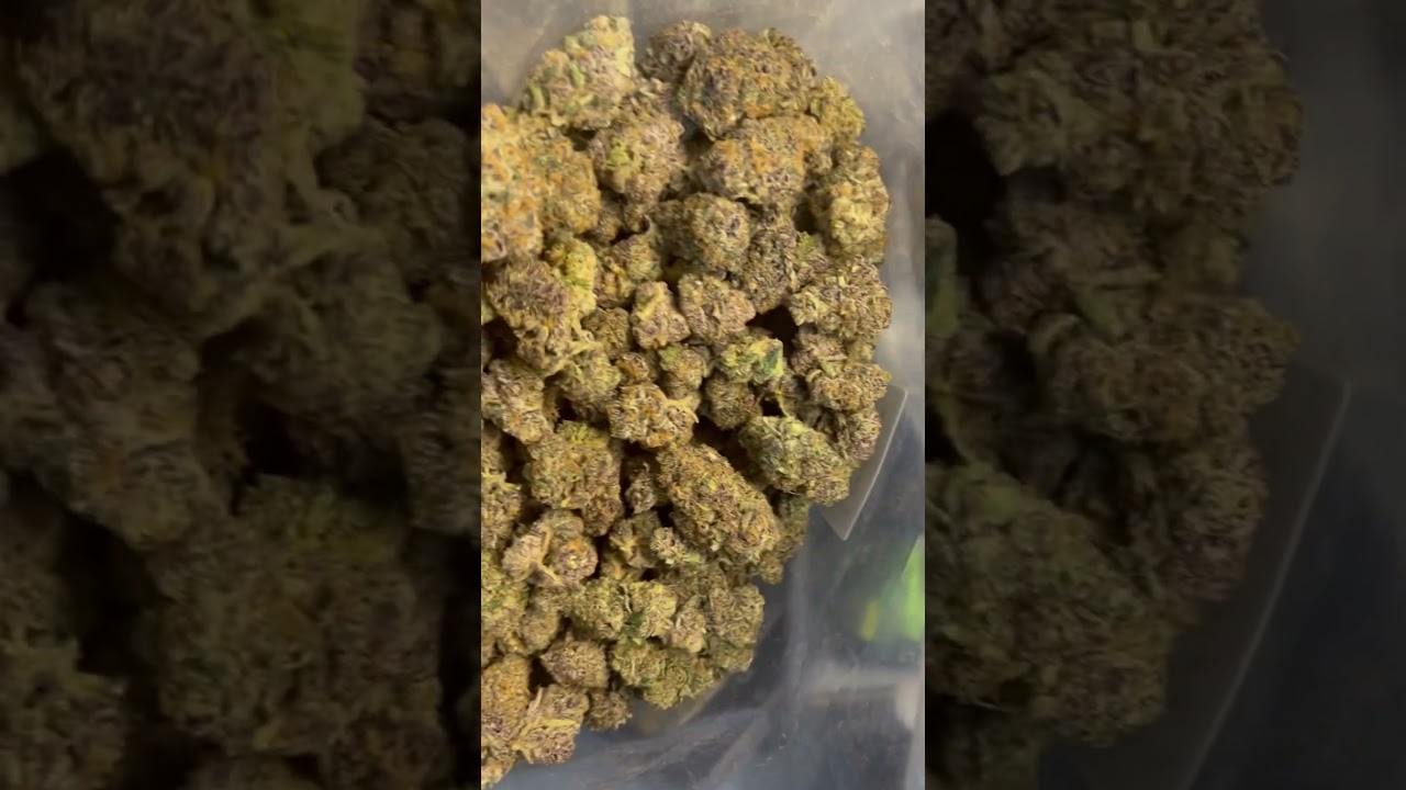 thailand #bangkok #bud #exotic #farm #flower #seller #shop #farmer #plug weed cannabis 420 marijuana