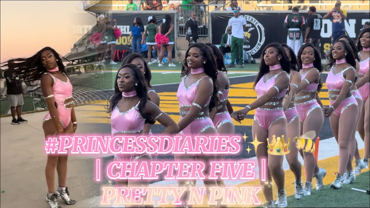 ASU STINGETTES | Game Day Highlights | MVSU ‘24 👑🐝