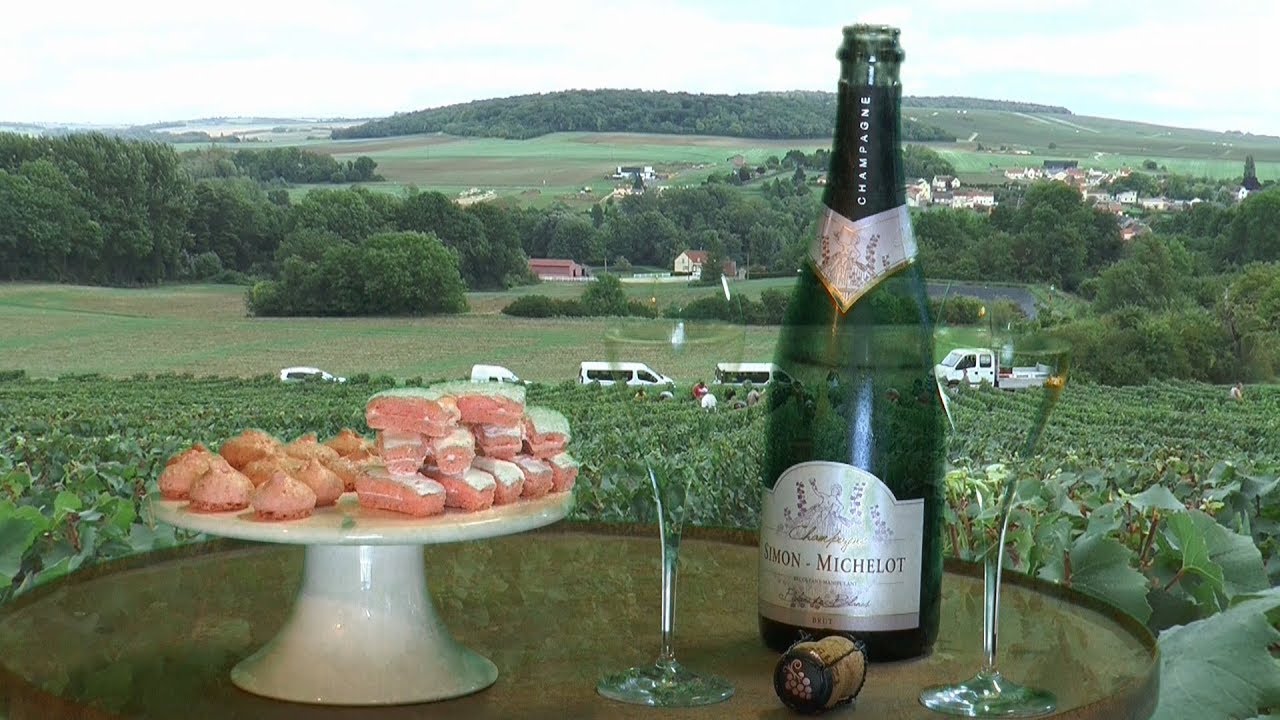 Les vendanges en champagne  