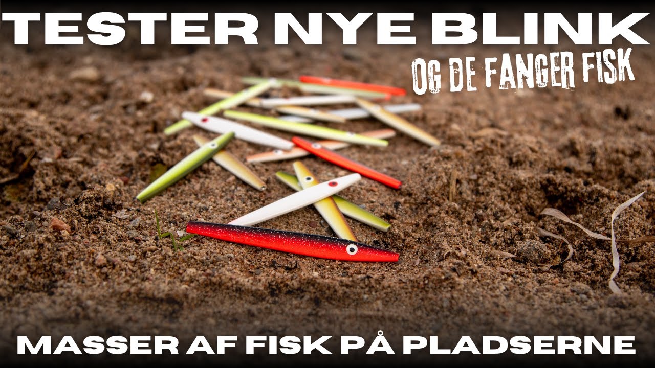Tester nye blink - Masser af fisk på pladserne