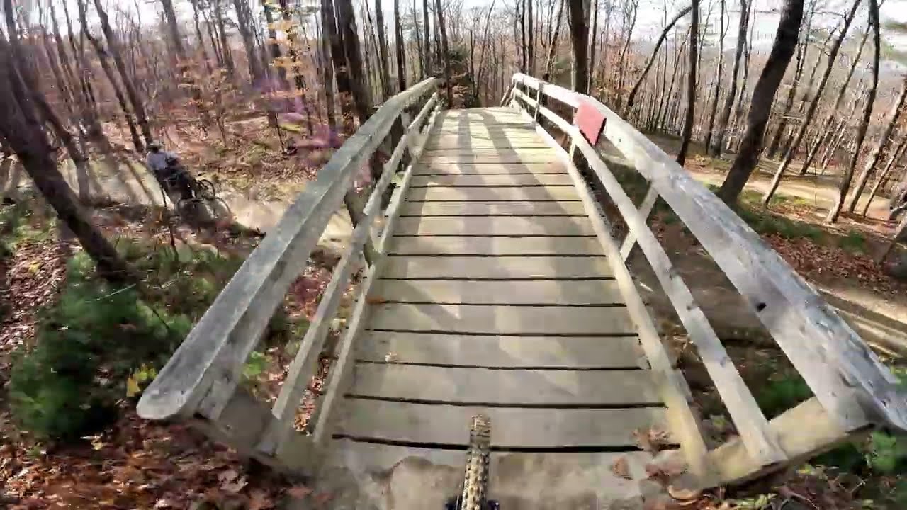 Highland - Cat Scratch Fever