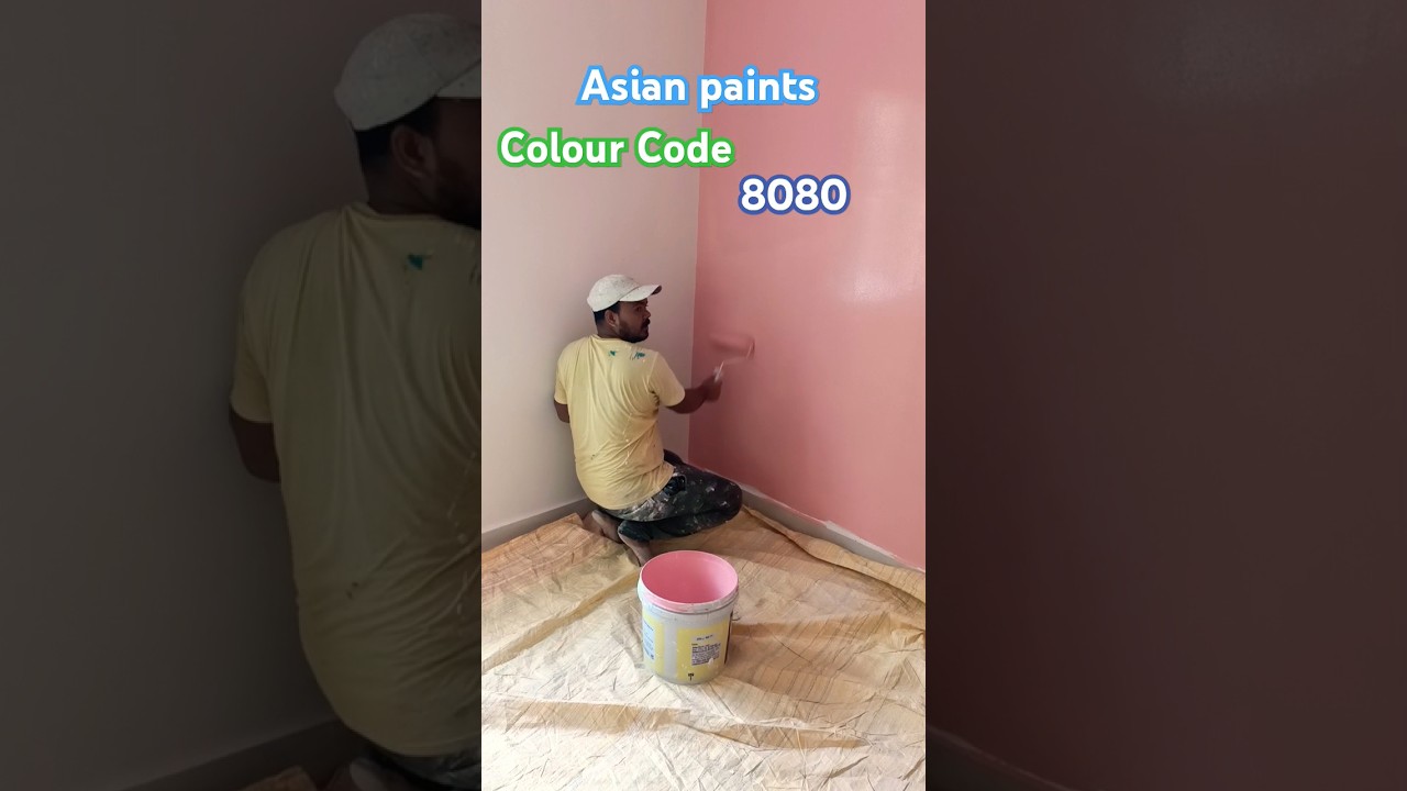 Asian paints Royale luxury emulsion glitz colour code 8080🖌️#youtubeshorts #shortsfeed #trending