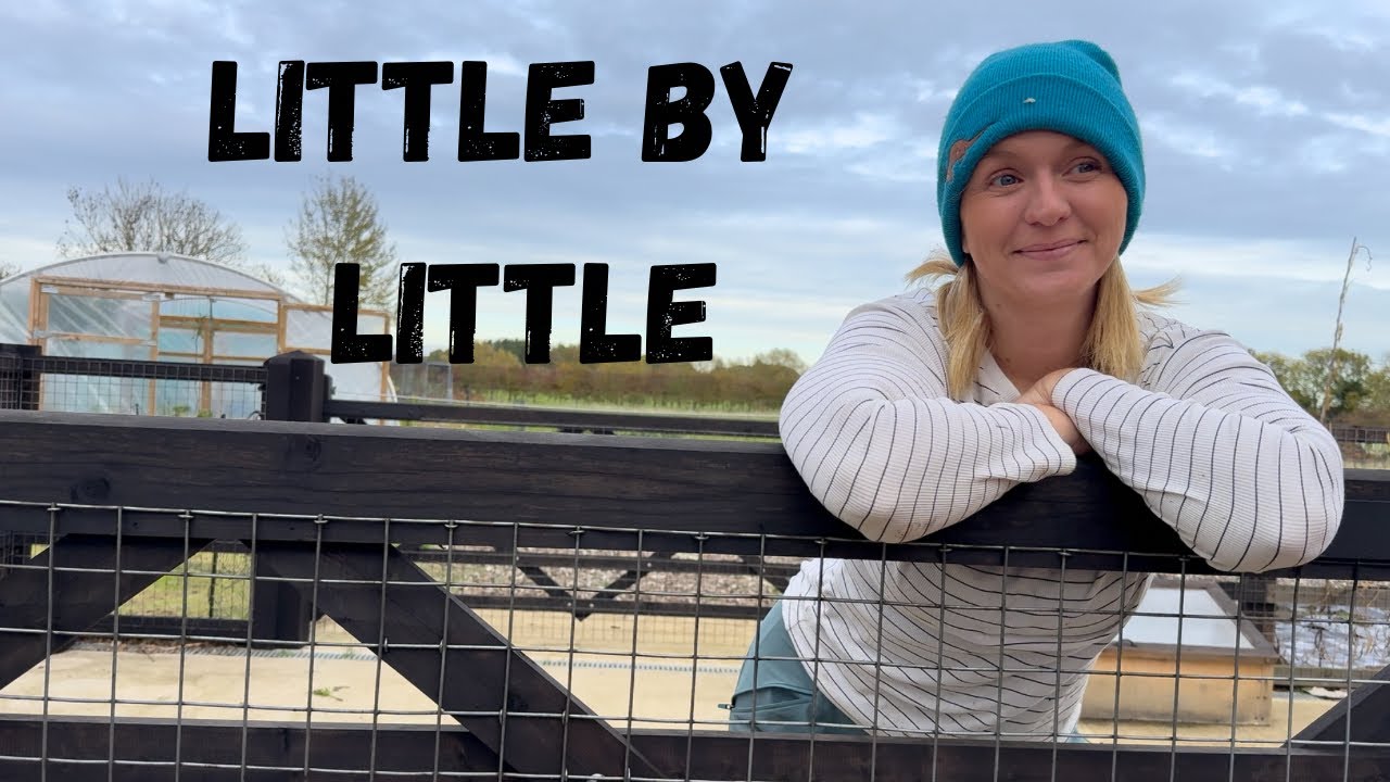 Сбор навоза | Очистка поли | Видеоблог о небольшом хозяйстве