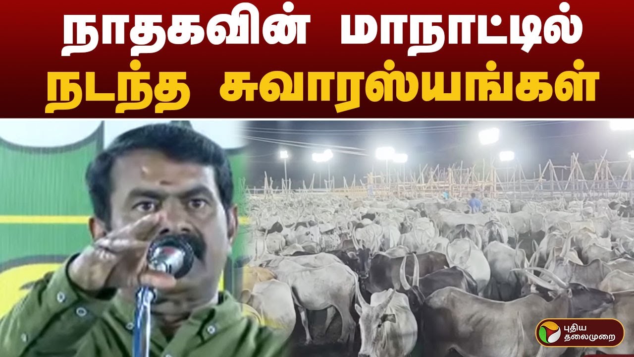 நாதகவின் மாநாட்டில் நடந்த சுவாரஸ்யங்கள் | SEEMAN | NTK | Cow Conference