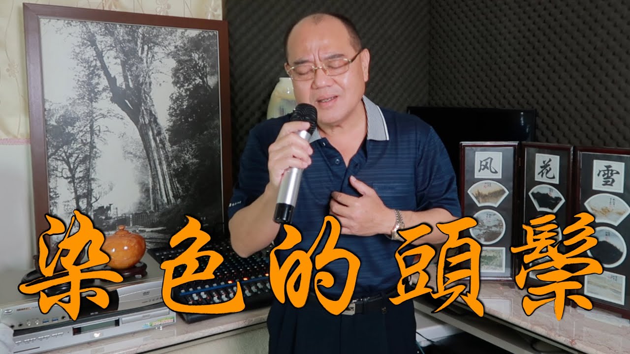 染色的頭鬃 - 陳雷｜ 鄭舜元 老師 翻唱