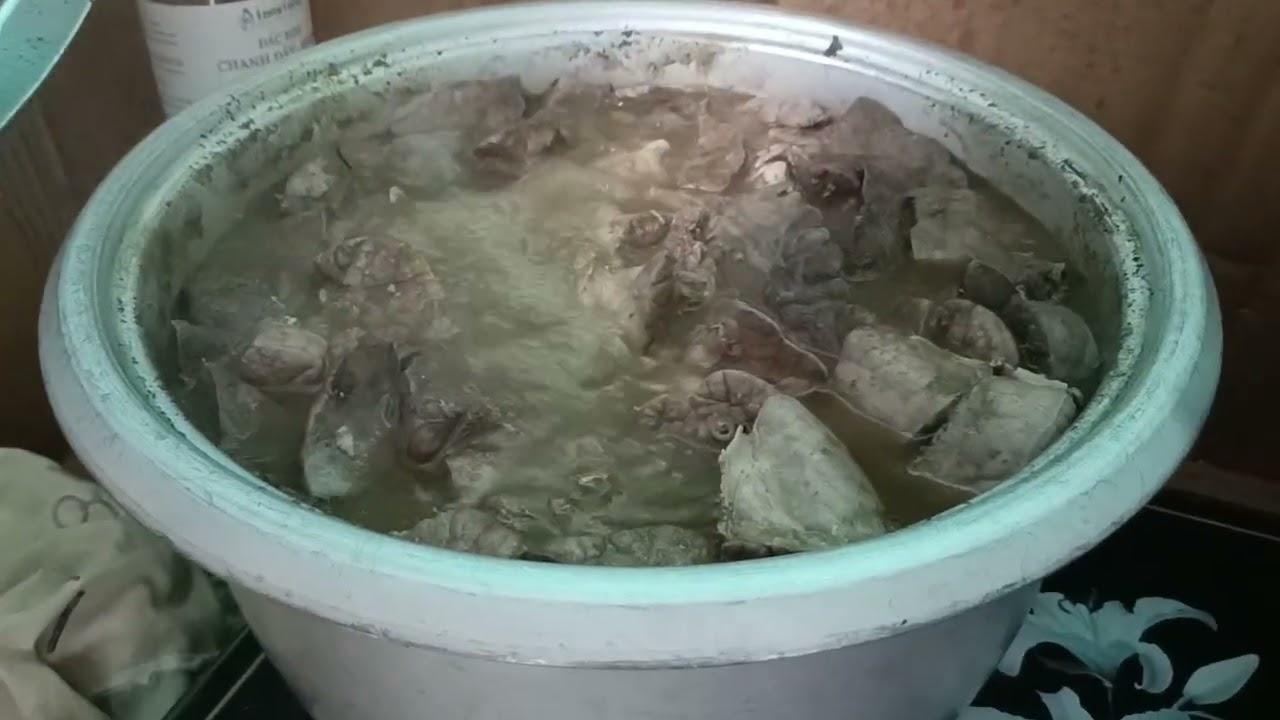 Bé tết hiểu chuyện đến đau lòng. Mua thêm 3 ngày thịt cho tụi con ăn