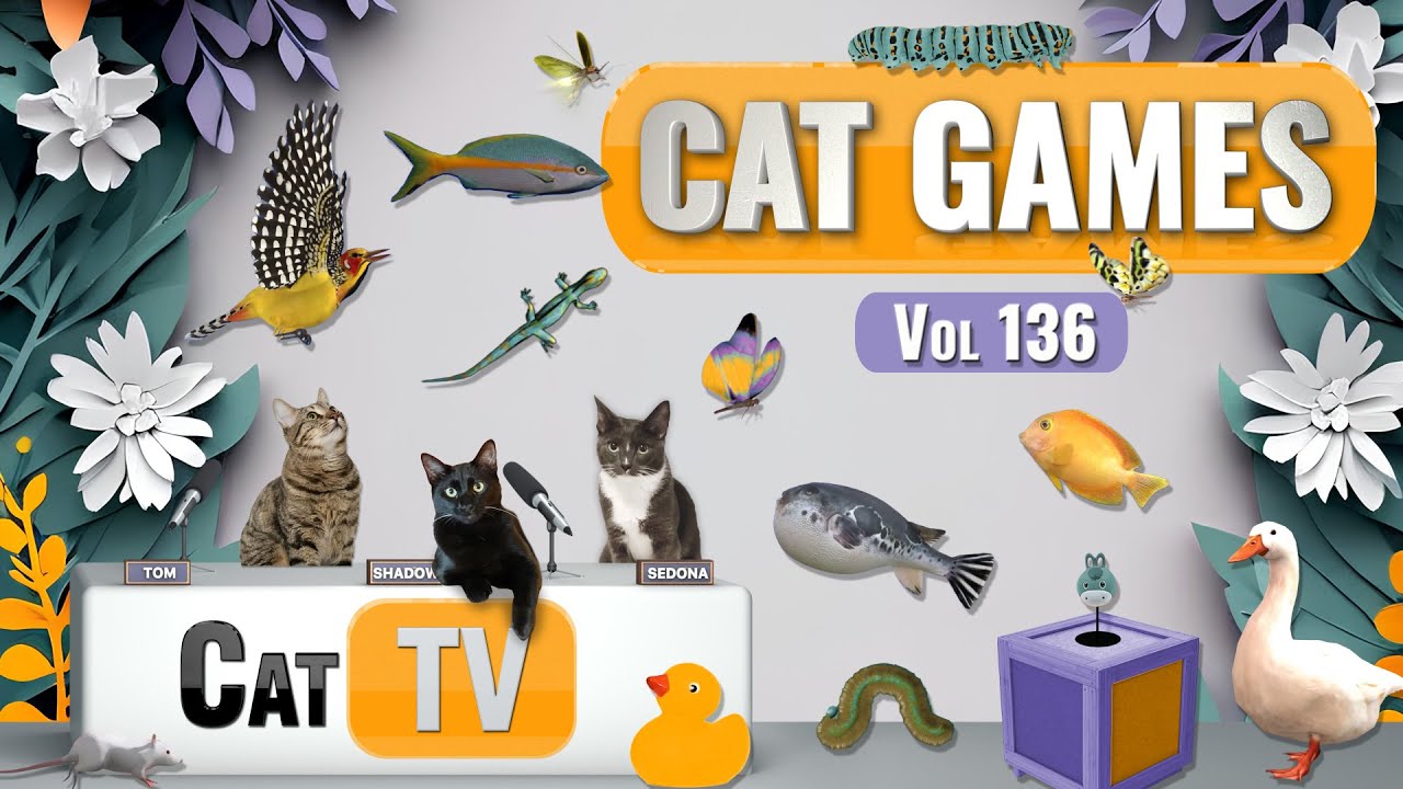 Gry CAT | Najlepsza kompilacja Cat TV Vol 136 | 8 GODZIN 🐝🐞🦋🦎🦜🐜🐭🧵