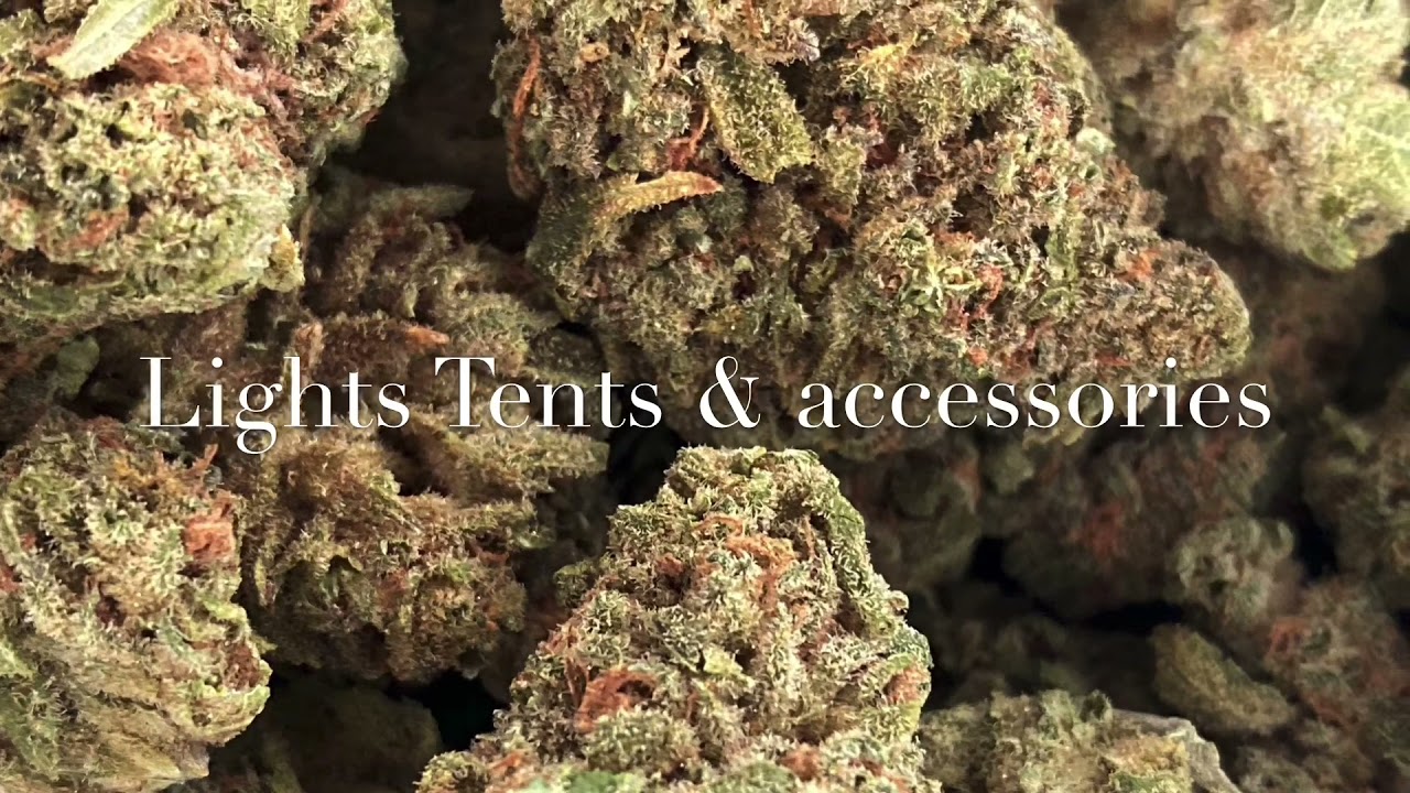 Happy 4/20! Grow room update dualwell 480w & 240w switch & new A/C last week flower in 4x4 tent