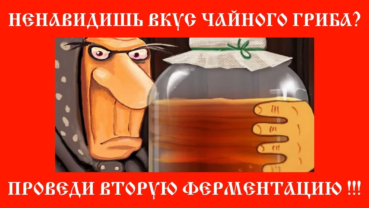 Не нравится вкус Чайного Гриба? Ферментируй с ягодами и травами!