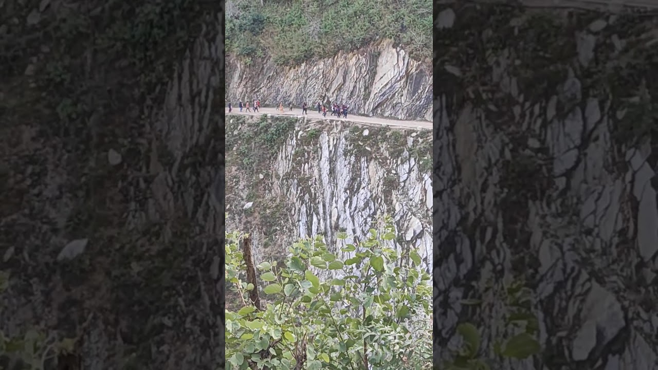 sisne khola