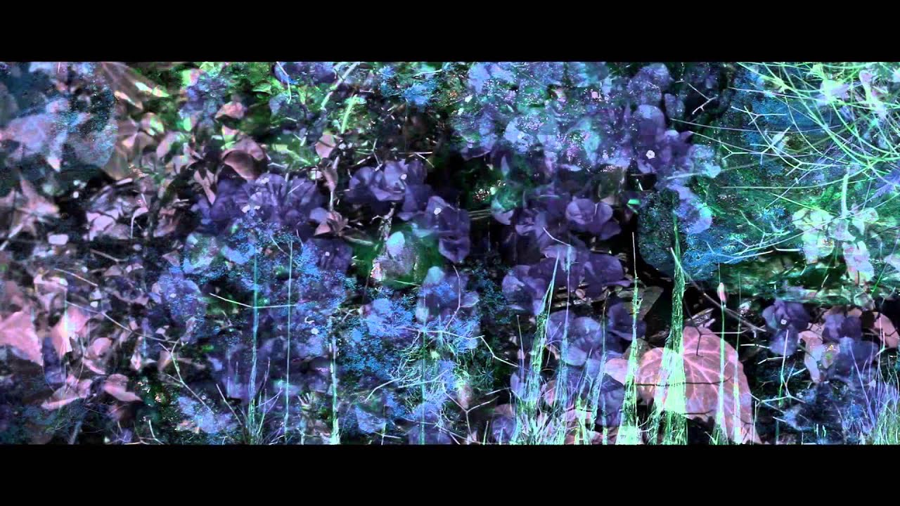 Doldrums - Lost In Everyone (Official Video)