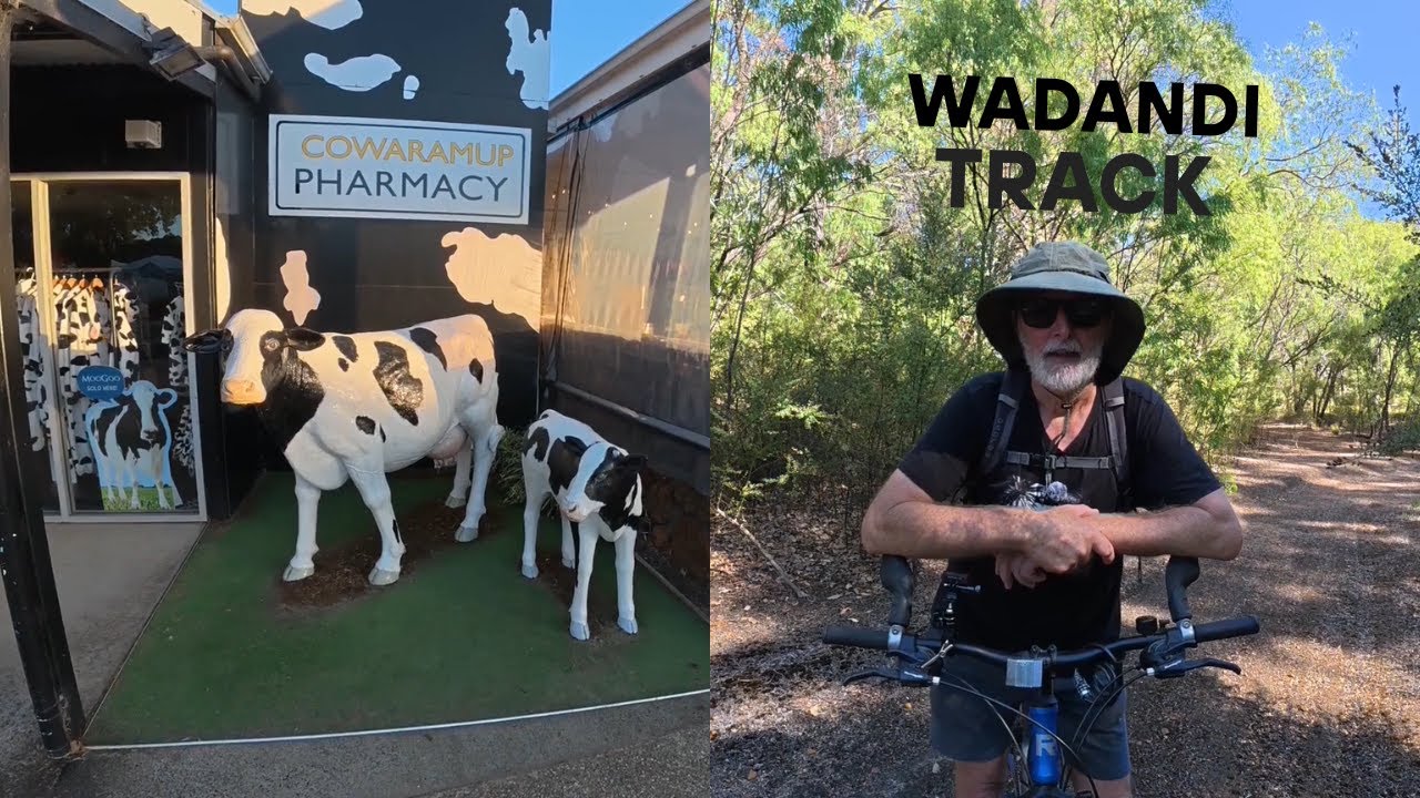 Wadandi track