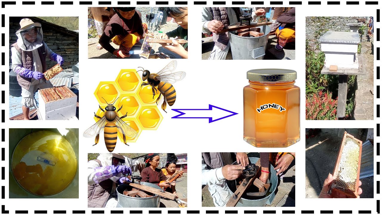Mastering the Art: Modern Honey Extraction at Home in Nepal