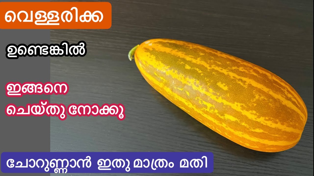 2നാടൻ വെള്ളരിക്ക രുചിക്കൂട്ടുകൾ//Easy Vellarikka Recipes//Traditional Vellarikka Recipes