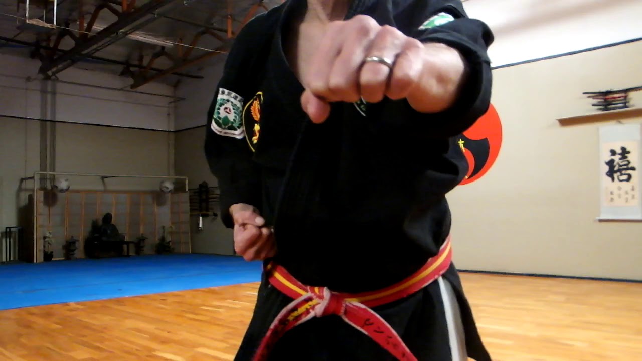 Karate Punches (Oi-tsuki, Gyaku-tsuki, & Uraken Uchi)