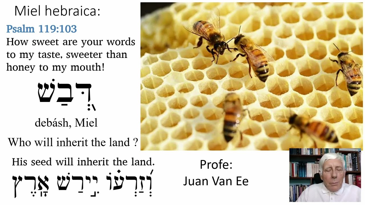 Who will inherit the land?