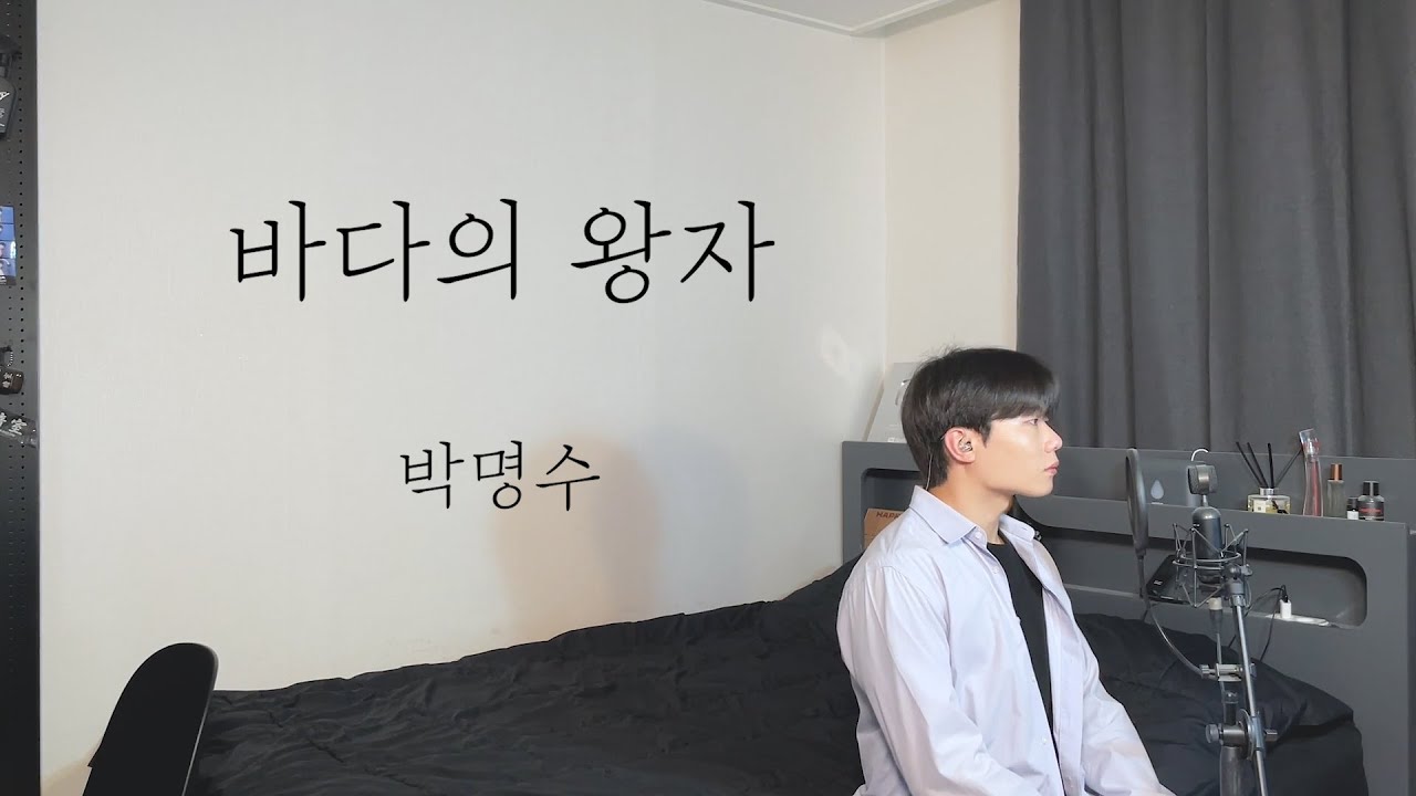 박명수 - 바다의 왕자 Cover by 탑현