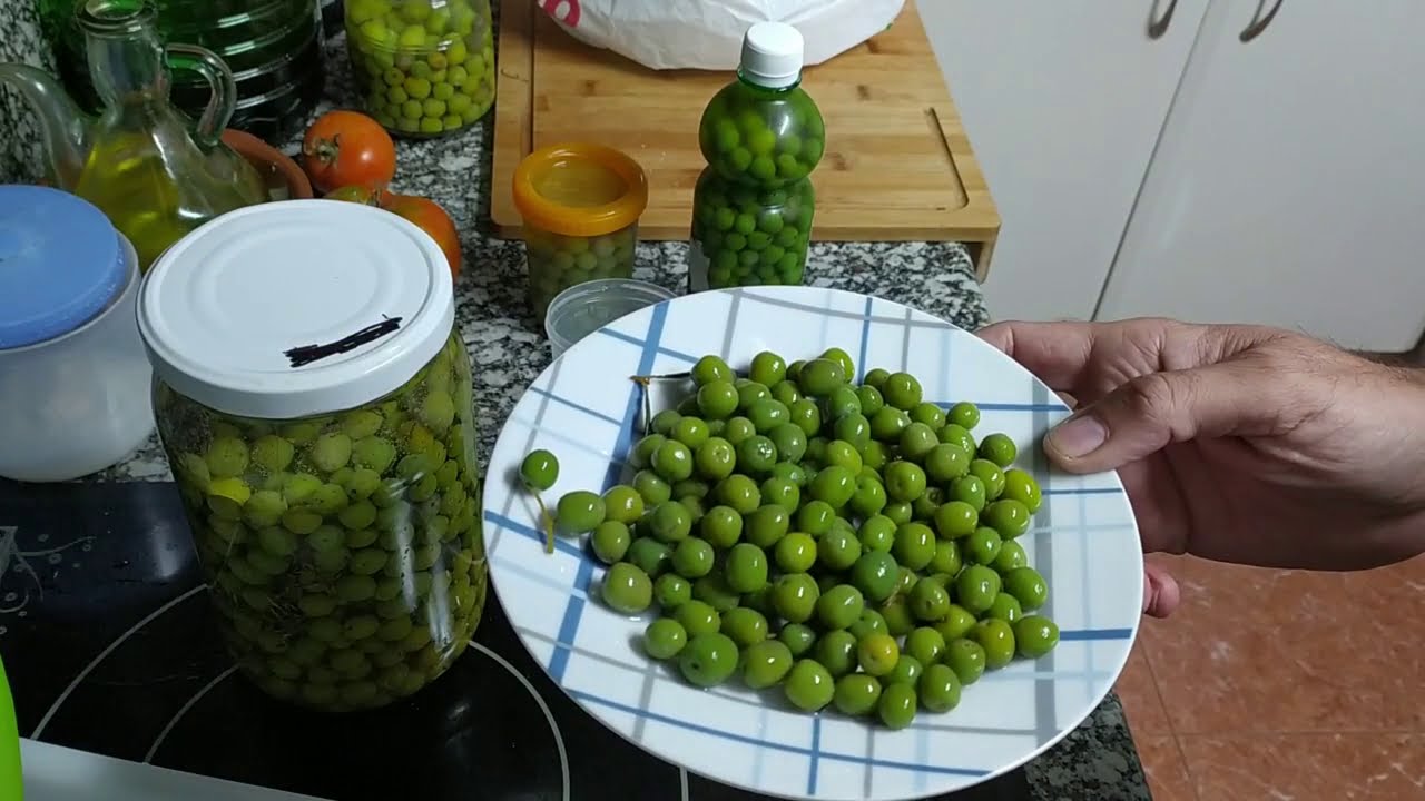 🔴 Como hacer olivas aceitunas verdes con sal sosa caustiva😍😍😍 , Arbequinas curadas aliñar fácil 🤩🤩🤩