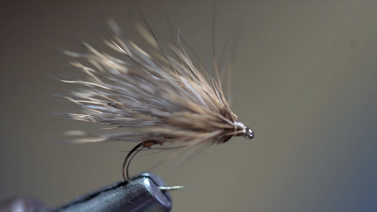 sedge chevreuil et lièvre