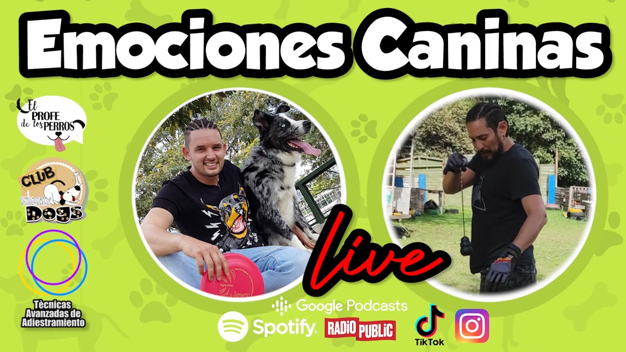 Club Family Dogs \\ Live Emociones Caninas Ft. Camilo Quiñones Y @elprofedelosperros