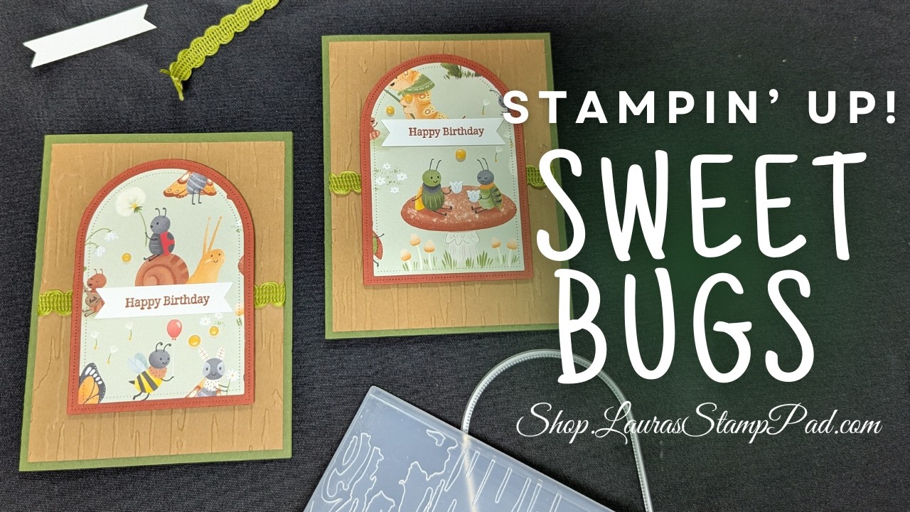 Beginner-Friendly Card Using the Sweet Bugs Paper #laurasstamppad #bugs #stampinup #cardmakingtips
