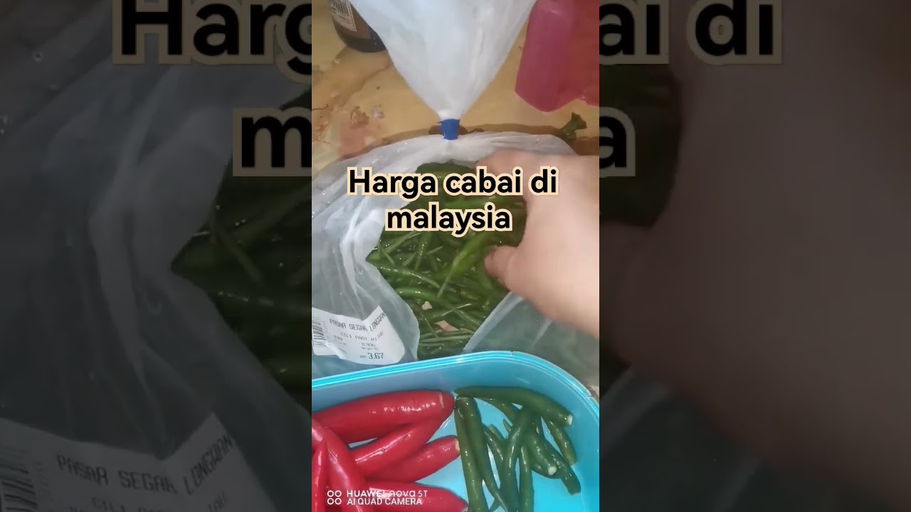 HARGA CABAI/CHILI DI MALAYSIA #viral #cabai #CHILIPADI#shorts