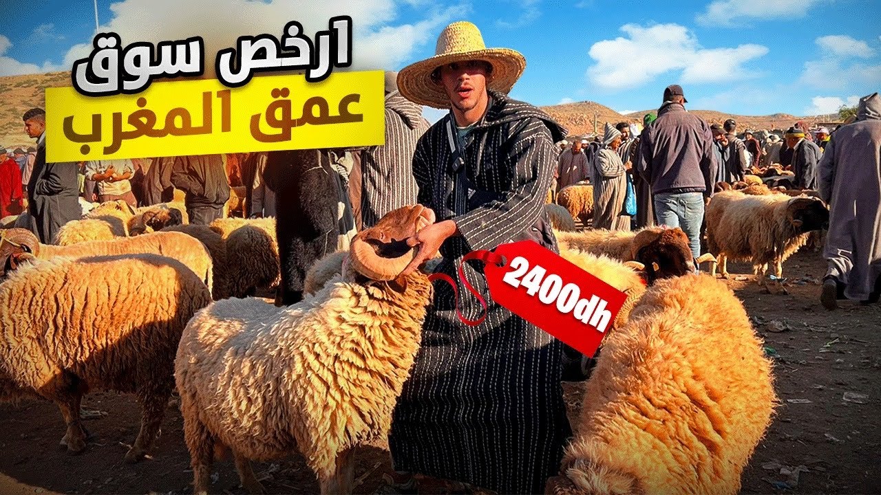 اليوم من سوق خميس مريرت إقليم خنيفرة 🇲🇦16/05/24منور بالخروف البرگي مع أثمنة حولي عيد الأضحى🐑أرخص سوق