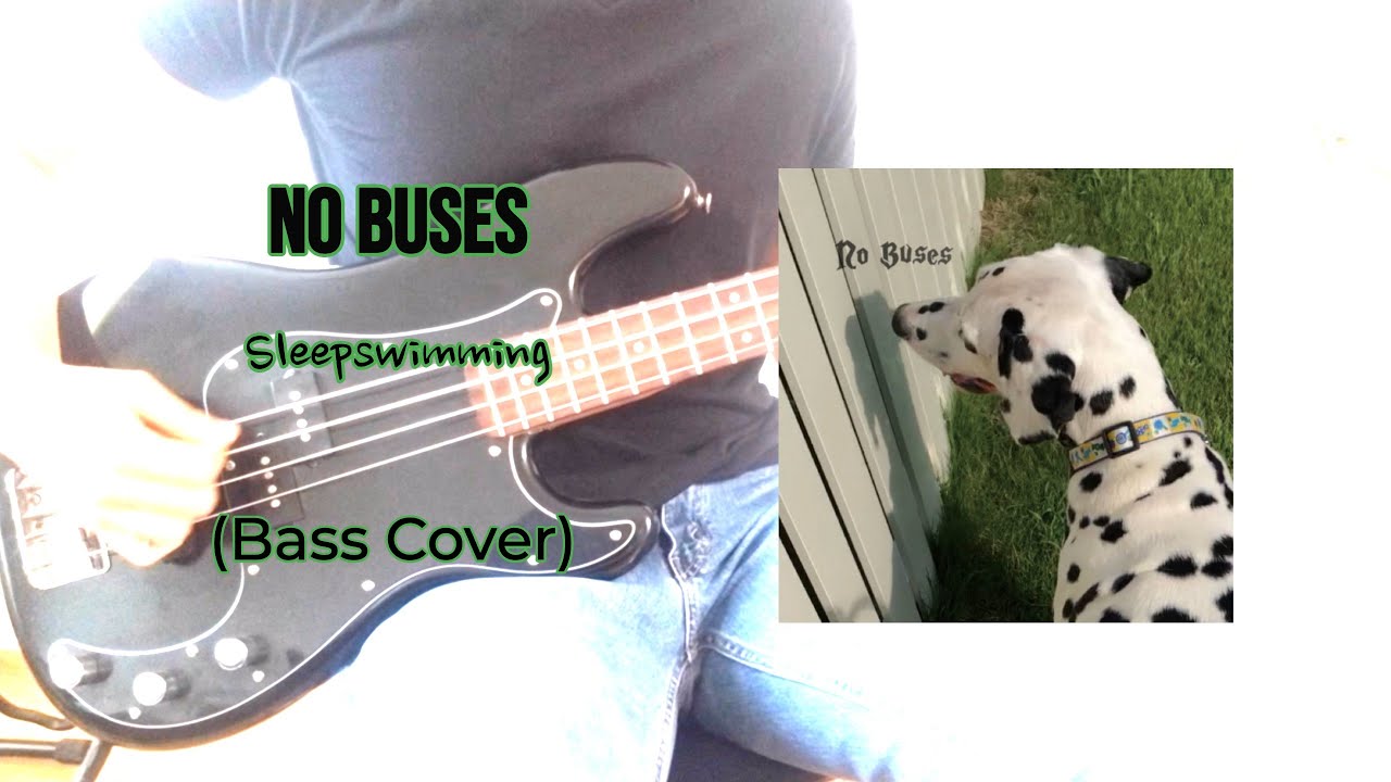 No Buses- Sleepswimming (Bass Cover)
