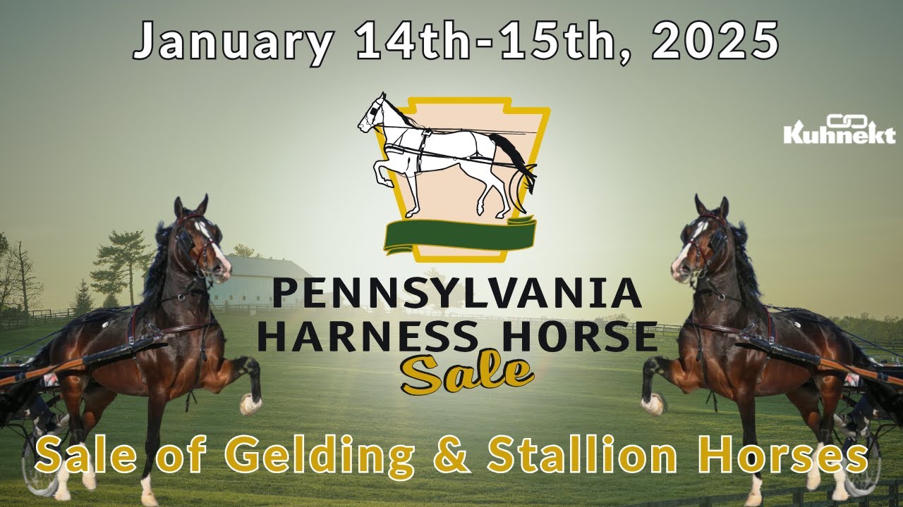 Sale of All Harness Horse Gelding & Stallion Consignments - 2025 Pennsylvania Harness Horse Sale