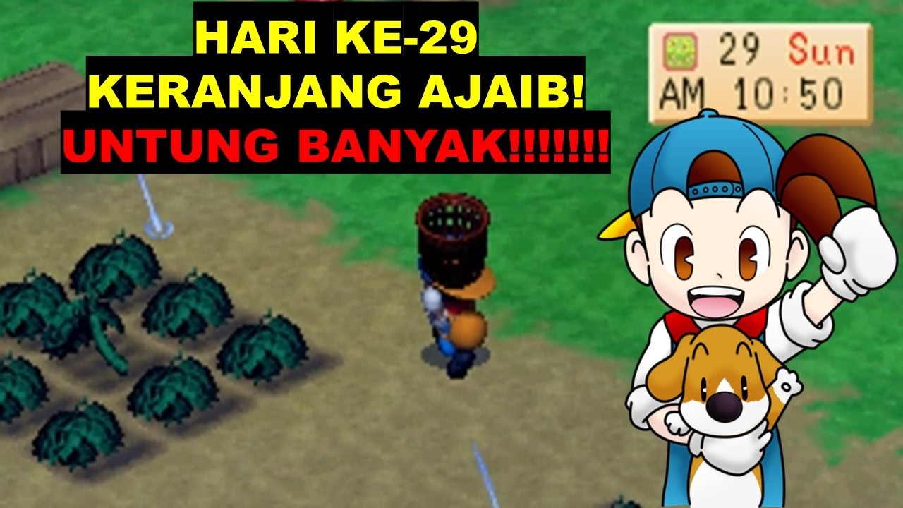 HARVEST MOON HARI 29 KERANJANG AJAIB!! PANEN DAN MENAMBANG JADI EFISIEN!